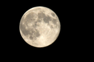 DSC_7141.jpg