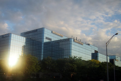 P8176846.jpg