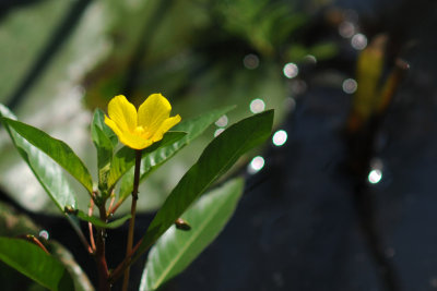 DSC_1144.jpg