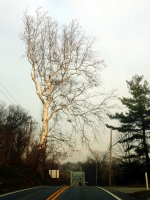 WP_20151211_08_03_35_Pro.jpg