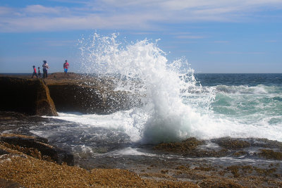 P8187441.jpg
