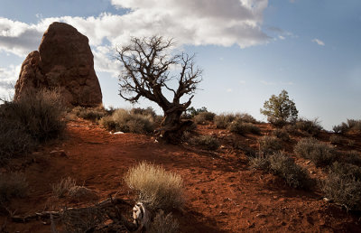 Arches National Park