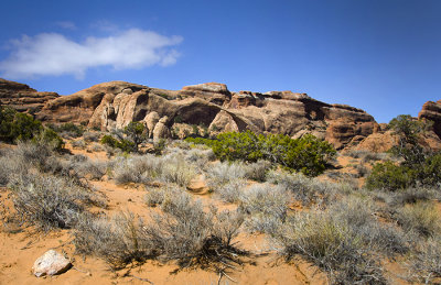 Landscape Arch,  Arches National Park