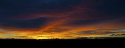 Daybreak at the Bosque