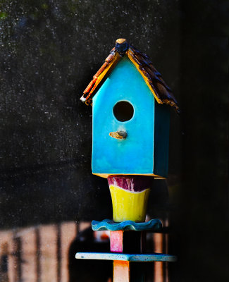 Blue Bird House