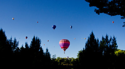 DSC_6244.jpg