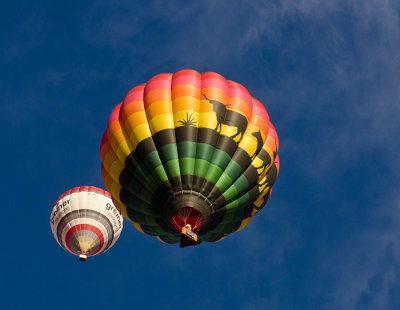 The 2014 Hot Air Balloon Fiesta