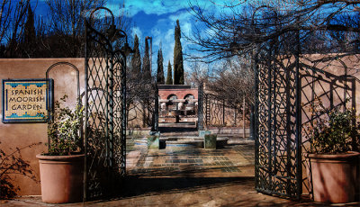 The Garden
