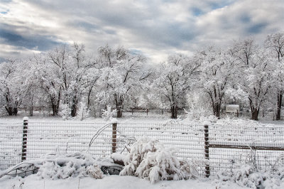 Frosted