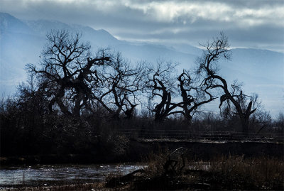 A Walk Along the Rio Grande