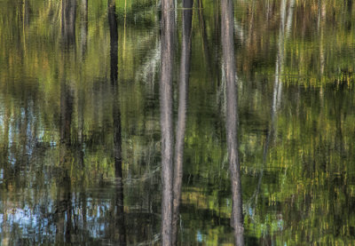 Time for Reflection