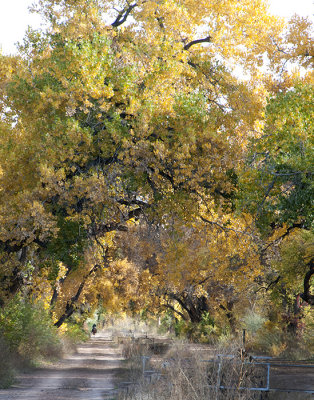 Corrales Village, New Mexico
