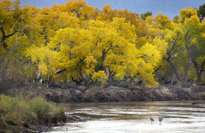 Corrales Village, New Mexico