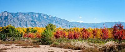 Corrales Village, New Mexico