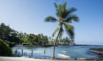 Kona Coast