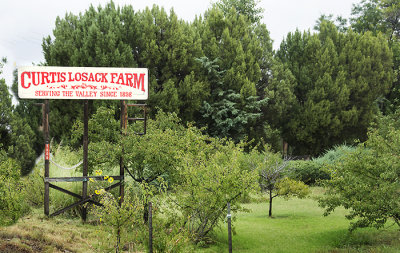 Corrales Village, New Mexico
