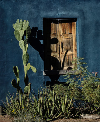 Mesilla, NM, and the Barrio Historico of Tuscon