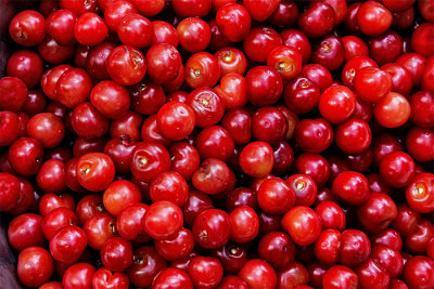 Harvest