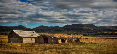 Rugged Remnant