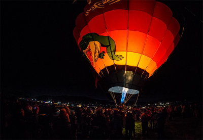 Albuquerque Hot Air Balloon Fiesta