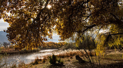 Corrales Village, New Mexico