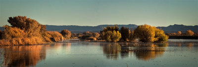 Autumn Reflections
