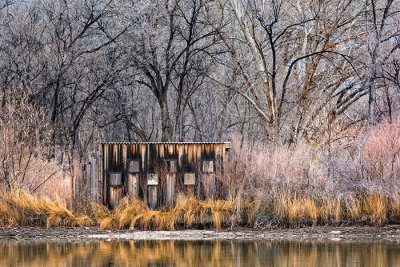 Blind in the Bosque