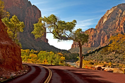 Morning in Zion Canyon