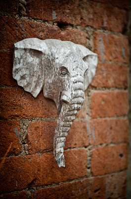Elephant Wall Decor