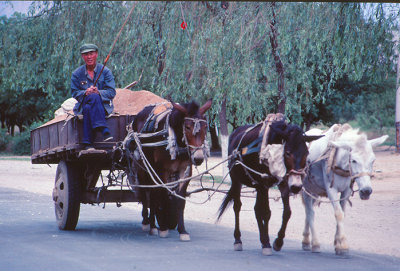No Tractor Era