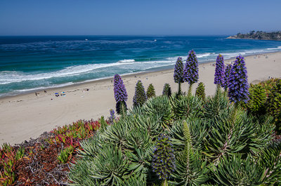 The Strand at Monarch Bay