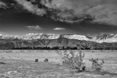 An undeveloped plot of Rancho Mirage in a heavy snow year.