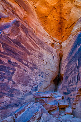 Canyon Wall Crevice
