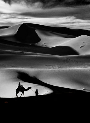 Desert Monochrome