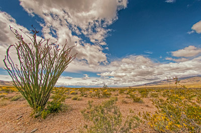 Valley Floor