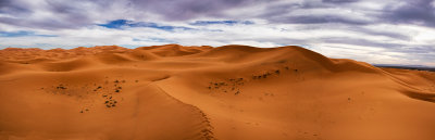 Eight Image Saharan Panorama