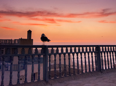 Moroccan Atlantic Sunset