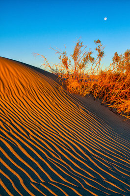  Mesquite Flat Sand Dunes