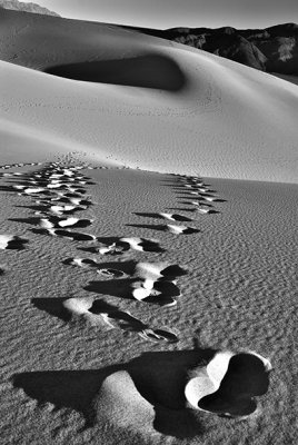Mojave Tracks