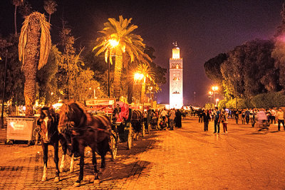 Night in Marrakech