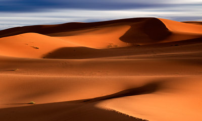 Sahara