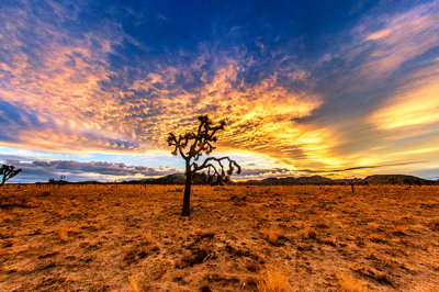 Desert Sunset Drama