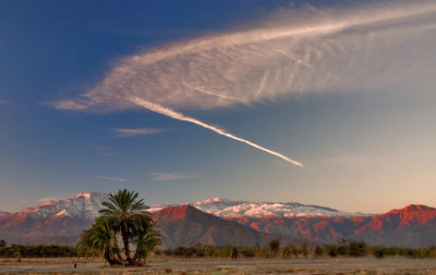 Desert in Winter