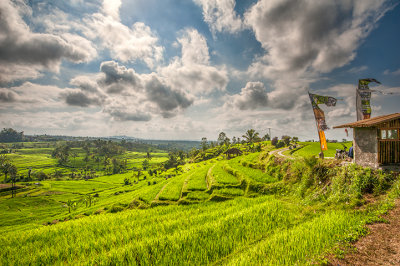 The Cultural Landscapes of Bali 