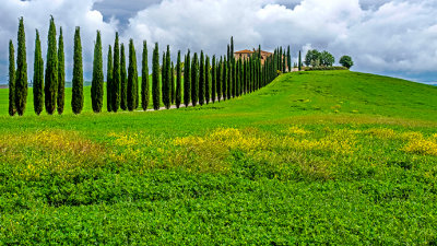 Classic Cypress-lined Tuscan Villa Driveway 