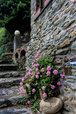 Stone wall & path with color