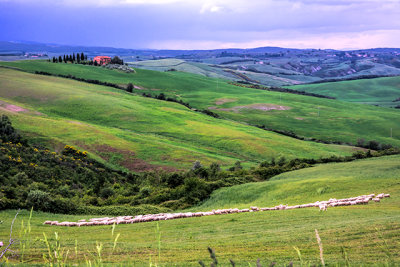 Tuscan villas, rolling green hills and grazing sheep