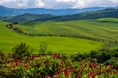 Beautiful Tuscan Landscape