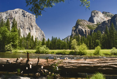 Yosemite Valley