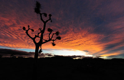 Fiery Sunset